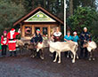 Meet Santa and His Reindeer - 13th December 2015