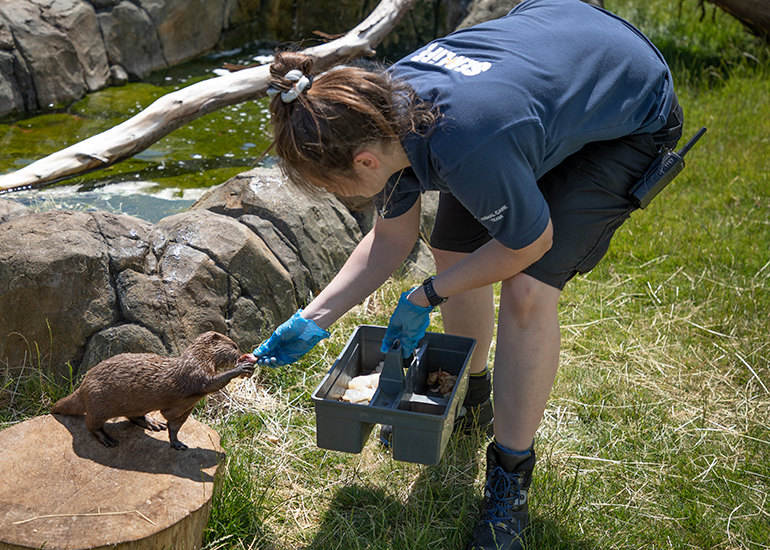 New Otter Enclosure