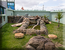 Otters - June 2022