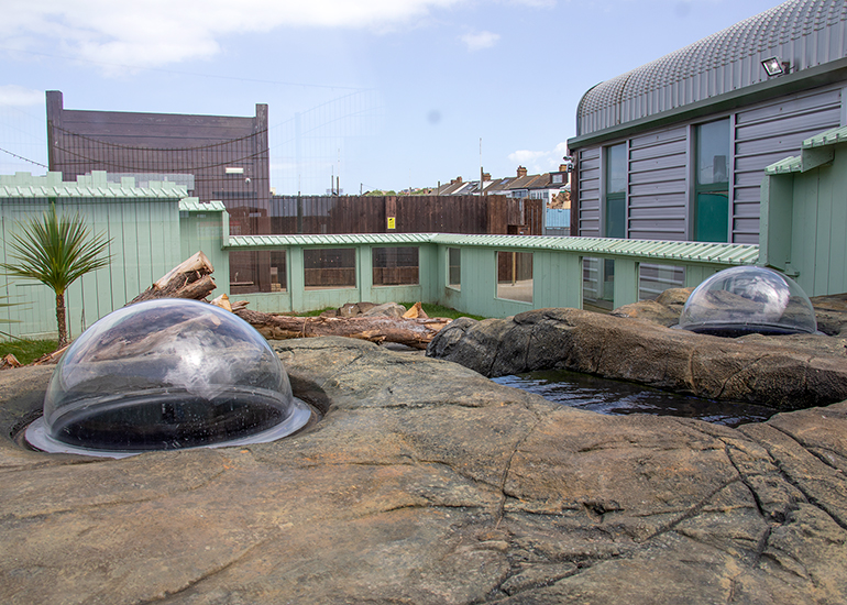 New Otter Enclosure