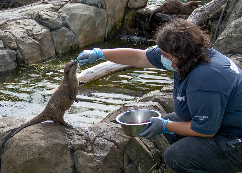 New Otter Enclosure