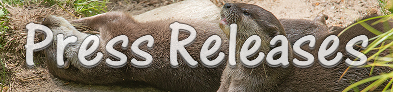 Asian Short-Clawed Otters - Press Releases