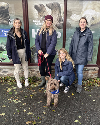 Find Paddy a home for Christmas