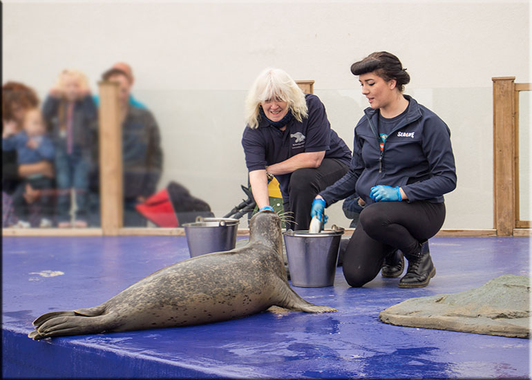 Hunstanton SEA LIFE Sanctuary