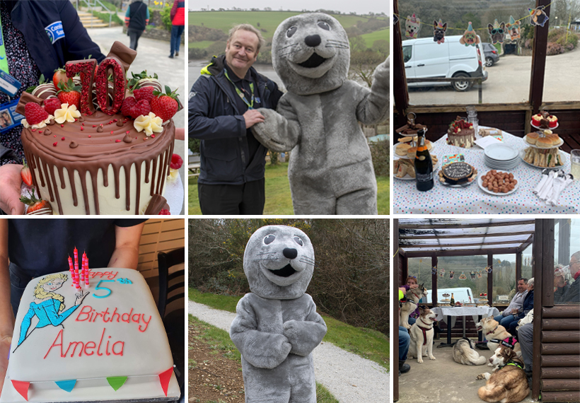 Have a Party at the Seal Sanctuary!