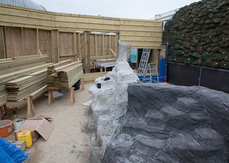 Penguin Exhibit Refurbishment - photo taken on 17th February 2018
