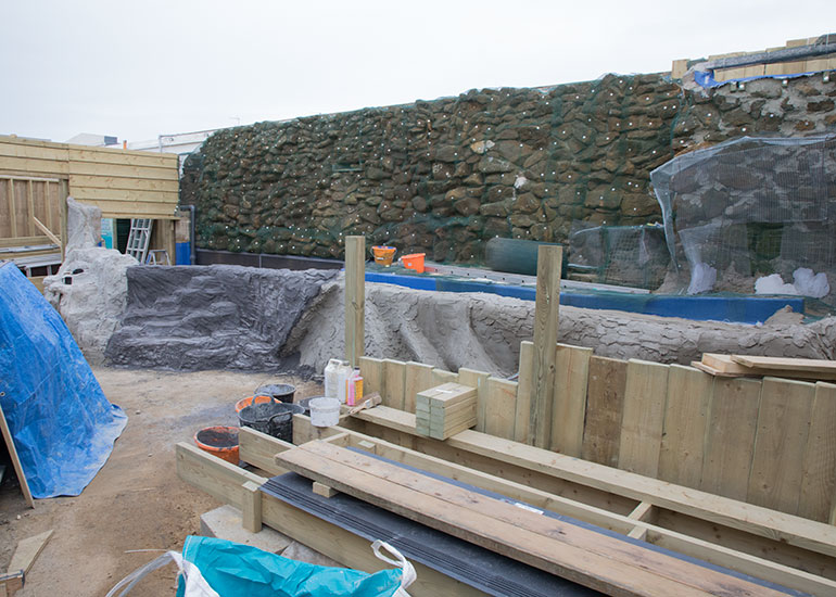 Penguin Exhibit Refurbishment - photo taken on 17th February 2018