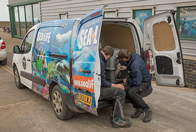 Official Opening Of New Penguin Enclosure