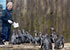 penguins on holiday at Great Yarmouth SEA LIFE