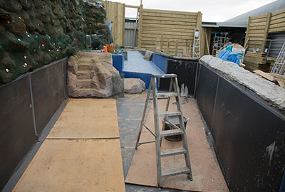 Refurbishment of the Penguin enclosure