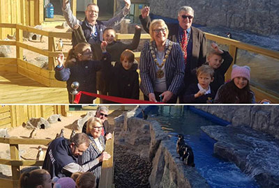Penguin beach open - Photos by Adam Makinson