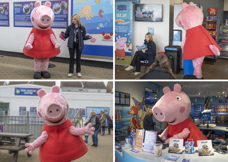 Peppa Pig - Aquarium Adventure - between 1st April and 4th June 2023