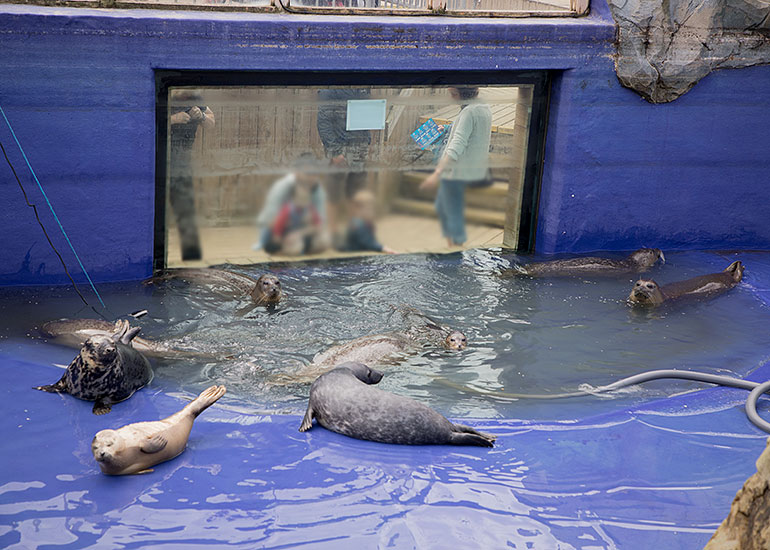 Seal Enclosure