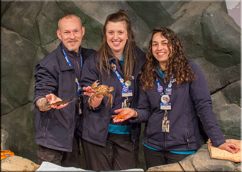 Hunstanton SEA LIFE Sanctuary