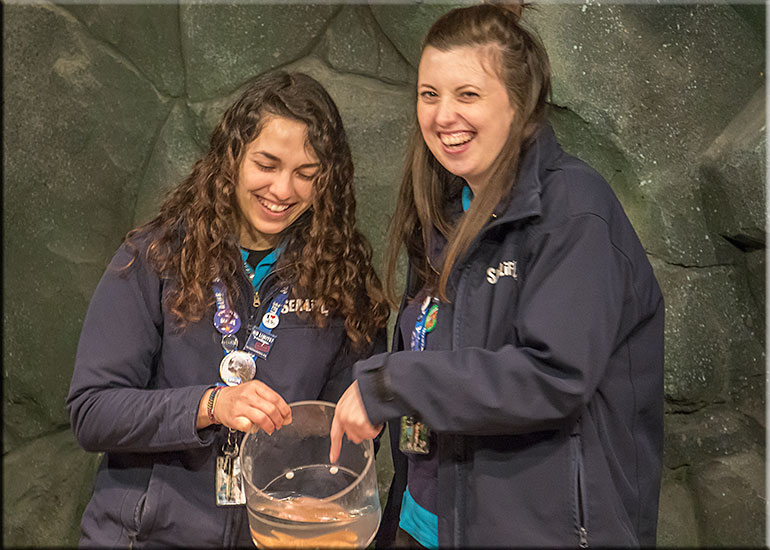 Hunstanton SEA LIFE Sanctuary