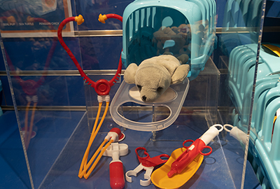 Seal Vets