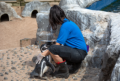 Jasmine hugging one of the penguins