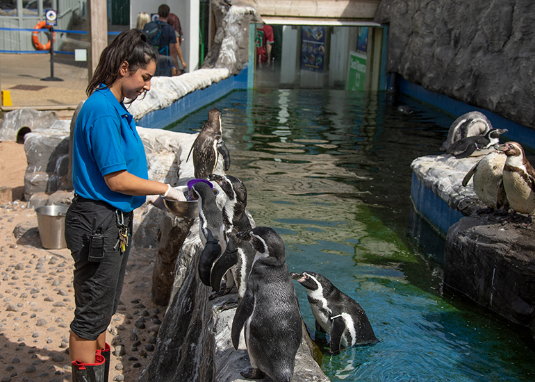 Jasmine feeding the penguins
