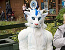 Winter Wonderland 2011