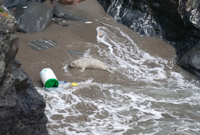 Pollution in the sea