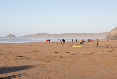 Cornish Seal Sanctuary