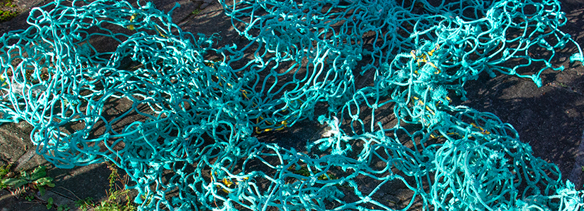 Do you know what are Plastiglomerates?