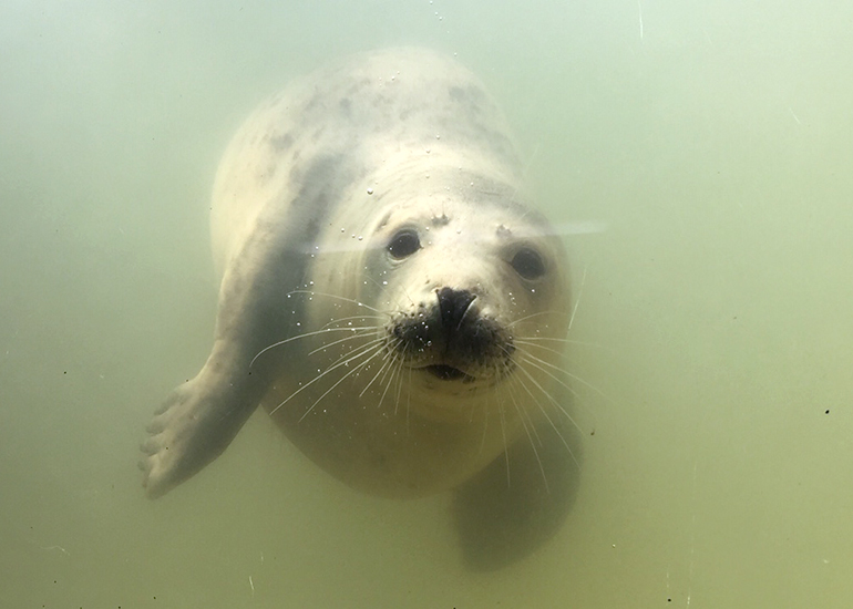 Photo by Poppy was taken on 17th April 2019