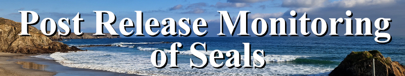 Post Release Monitoring of Seals
