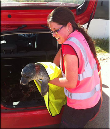 Hollie with rescued seal pup