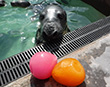 Egg-Citing Easter Training