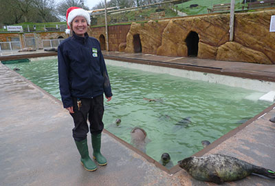It's not just Santa working on Christmas day!