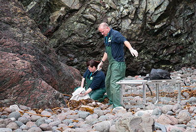 Rescued Seal Pups