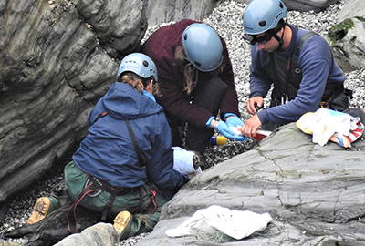 Rescue team immobilise seal photo by Kate Hockley CSGRT