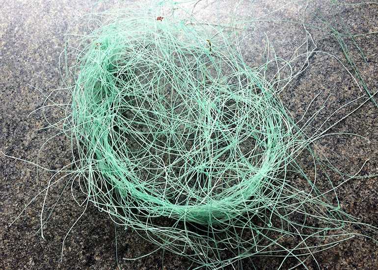 9 Net removed from Lucky Flipper by Tamara Cooper CSS
