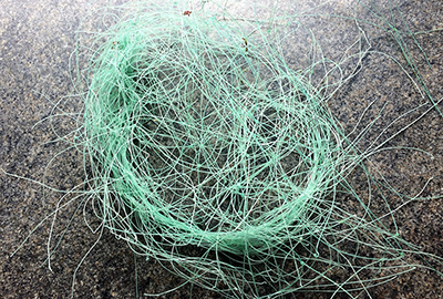 9 Net removed from Lucky Flipper - Photo by Tamara Cooper CSS