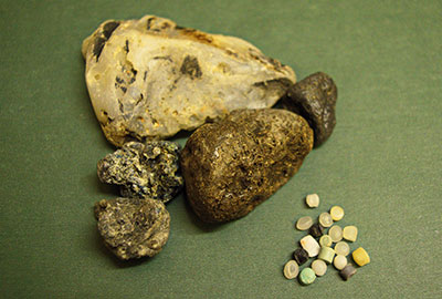 Overwhelming support and interesting finds beach clean