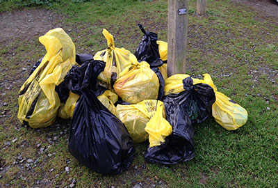 Overwhelming support and interesting finds beach clean