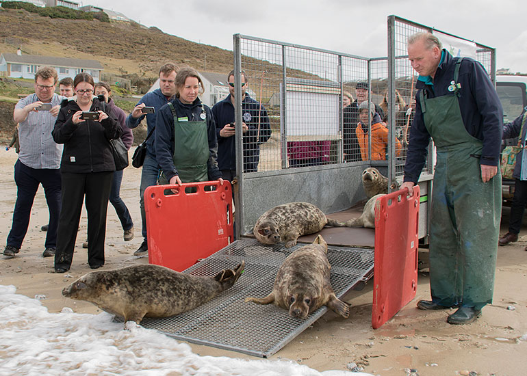 Seal Release 26th March 2018