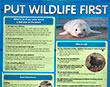 Sanctuary appeals to put wildlife first