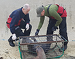 Hampshire Fire and Rescue Service joined the Cornish Seal Sanctuary to up-skills in seal pup rescue!