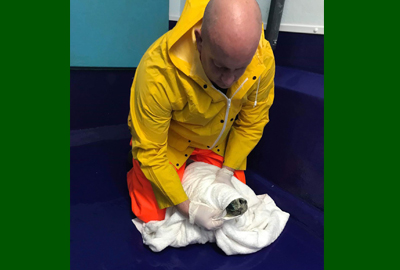 Hampshire Fire and Rescue Service joined the Cornish Seal Sanctuary to up-skills in seal pup rescue!