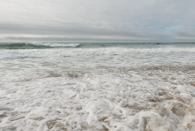 From Sunrise to Sunset - The SEA LIFE Trust launches first 24-Hour Global Beach Clean Event