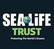 From Sunrise to Sunset - The SEA LIFE Trust launches first 24-Hour Global Beach Clean Event