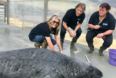 John and Melanie Bishop pay the Cornish Seal Sanctuary a visit