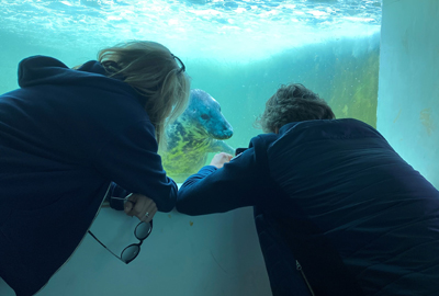 John and Melanie Bishop pay the Cornish Seal Sanctuary a visit