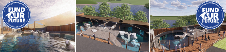 Fund Our Future - Cornish Seal Sanctuary launches Â?1.3million fundraising campaign for redevelopment project