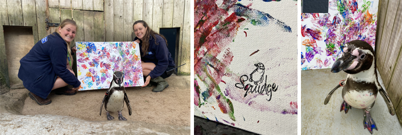 Penguin channels inner artist for Cornish Seal Sanctuary fundraising campaign