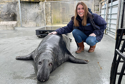 Soaring for Seals - Fundraising Manager overcomes her biggest fear, for the love of seals