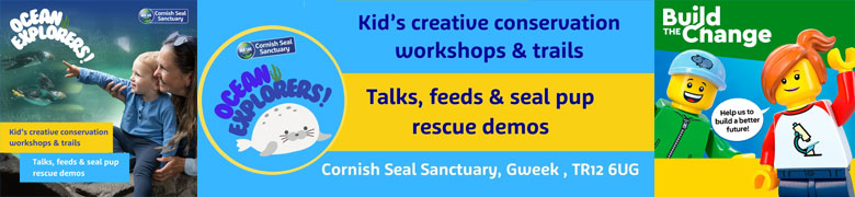 Become a Mini Ocean Explorer this summer