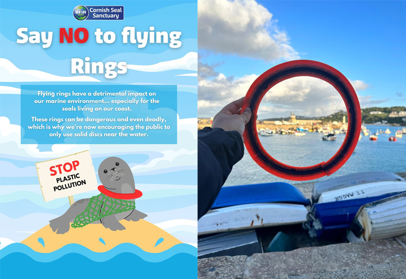 NAWT and Seal Sanctuary join forces to highlight dangerous dog toys